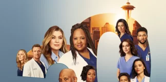 Grey's Anatomy 20 cover