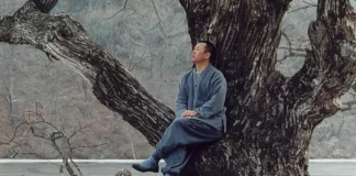 Kim Ki-Duk - Maestro dell'anima crowdunding cover