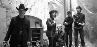 Mutiny in Heaven - The Birthday Party documentario cover