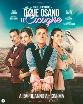 Angelo Pintus nel poster del film Dove osano le cicogne.