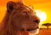 Il leone Mufasa nel film Mufasa: Il re leone.