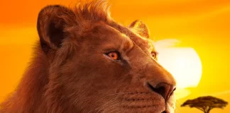 Il leone Mufasa nel film Mufasa: Il re leone.