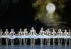 In foto le ballerine ne Il lago dei cigni.