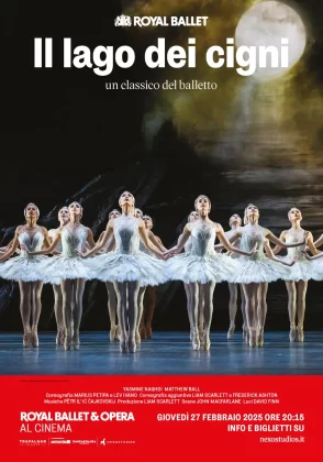 Il poster de Il lago dei cigni.