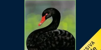 La copertina dell'audible La fame del cigno.