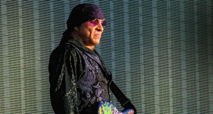 Stevie Van Zandt nel documentrio Sky Stevie Van Zandt.