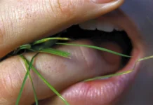 Una scena del film Cime Tempestose.