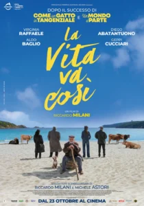 Il poster del film La vita va così.