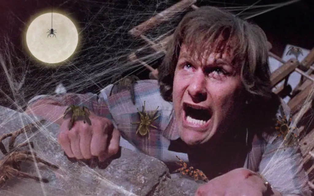 Una scena dal film Arachnophobia.
