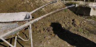 Una scena dal documentario Articolo 1.