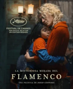 Il poster del film Flamenco.
