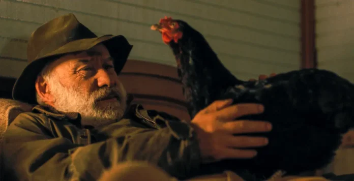 Hen.storia.gallina.cover
