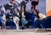 Lorella Boccia nella puntata 2 del programma Pets.