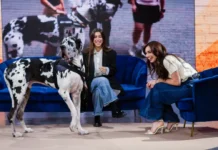 Lorella Boccia nella puntata 2 del programma Pets.