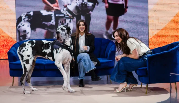 Lorella Boccia nella puntata 2 del programma Pets.