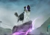 La key-art del videogioco Hounded.