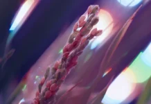 Il Cibo del Futuro: disponibile su RaiPlay la docuserie che racconta l’alimentazione del domani Una scena dalla docuserie RaiPlay Il cibo del futuro.