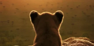 Il poster della serie National Geographic Lion.