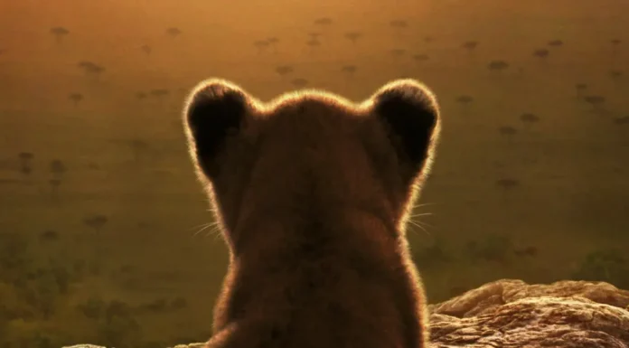 LION: in arrivo su Disney+ la nuova serie National Geographic che racconta la crescita di un leone Il poster della serie National Geographic Lion.