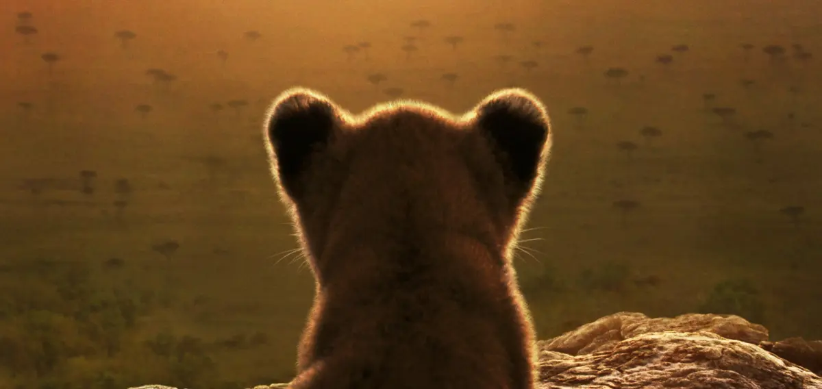 Il poster della serie National Geographic Lion.