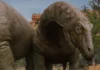 Surviving Earth, la docuserie evento sulla storia della vita sulla Terra arriva su Sky Documentaries Una scena dalla docuserie Surviving Earth.