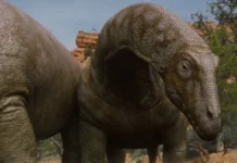 Surviving Earth, la docuserie evento sulla storia della vita sulla Terra arriva su Sky Documentaries Una scena dalla docuserie Surviving Earth.