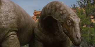 Una scena dalla docuserie Surviving Earth.