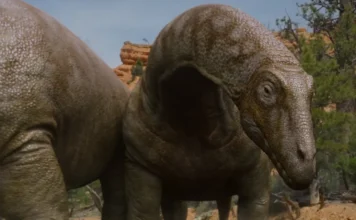 Surviving Earth, la docuserie evento sulla storia della vita sulla Terra arriva su Sky Documentaries Una scena dalla docuserie Surviving Earth.