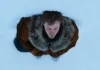 Una scena dal film A Long Winter.
