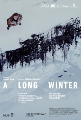 Il teaser poster del film A Long Winter.