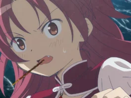 Una scena dall'anime Puella Magi Madoka Magica.